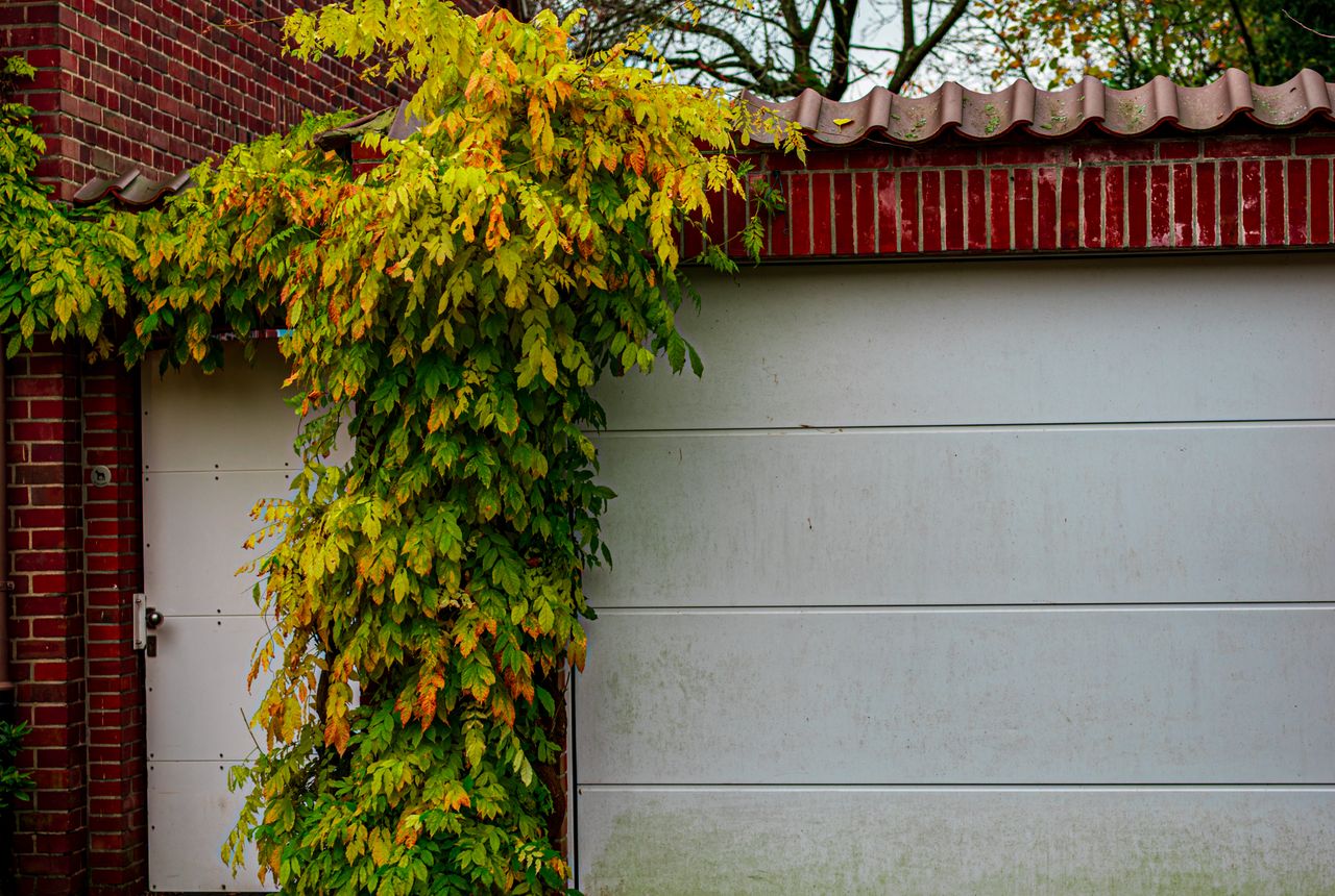 Garage door service in Wichita, KS